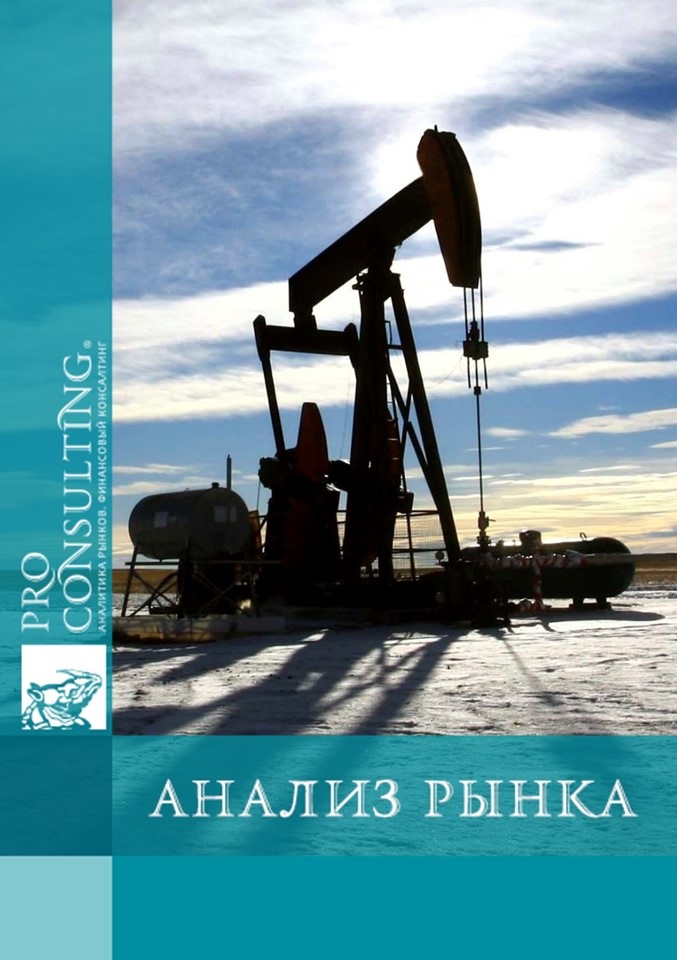 Анализ рынка нефти и газа Украины. 2013 год